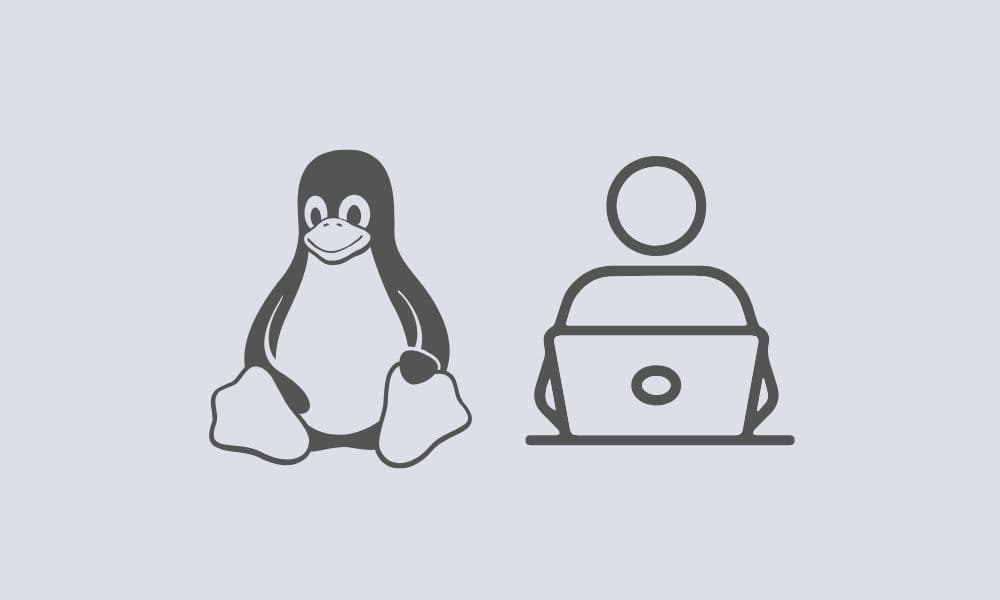 Linux quick workspace setup | One command-line install